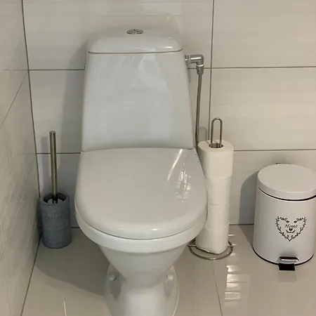 Kunigiskiu Whitehouse Apartment