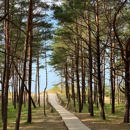 Kunigiskiu Whitehouse * 帕兰加