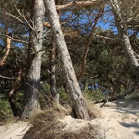 Kunigiskiu Whitehouse Apartamento Palanga