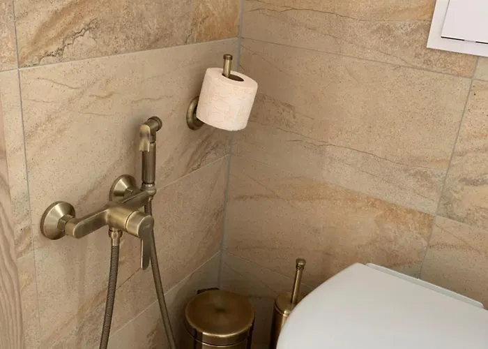 Kunigiskiu Whitehouse 公寓 *