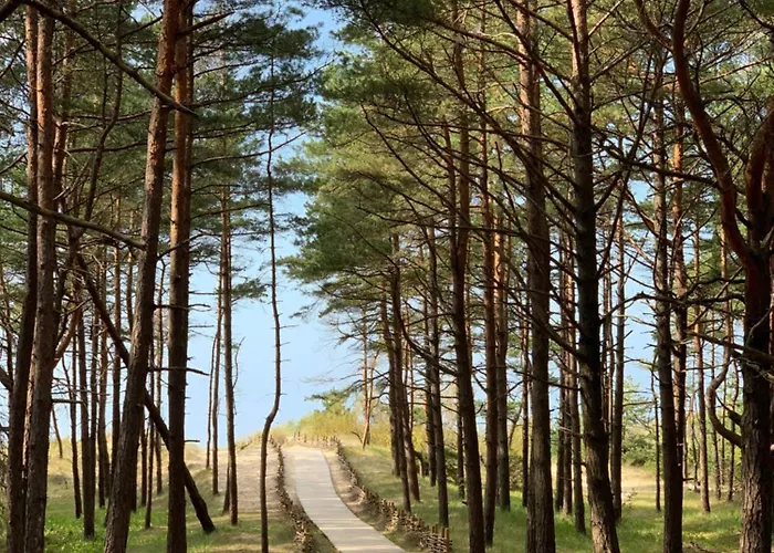 Kunigiskiu Whitehouse * Palanga