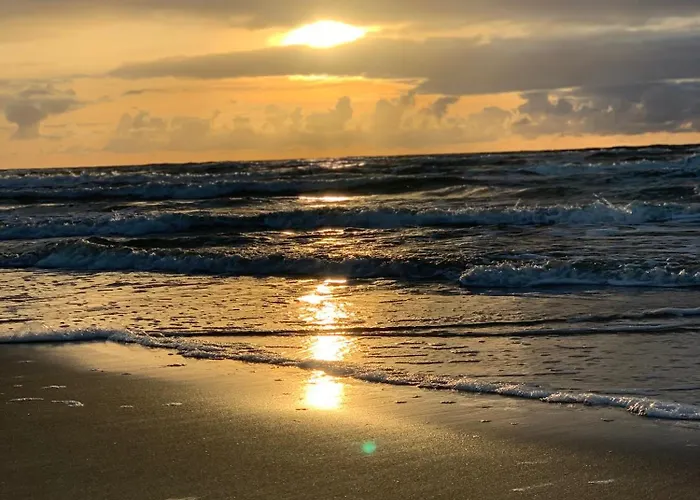 Apartmán Kunigiskiu Whitehouse *