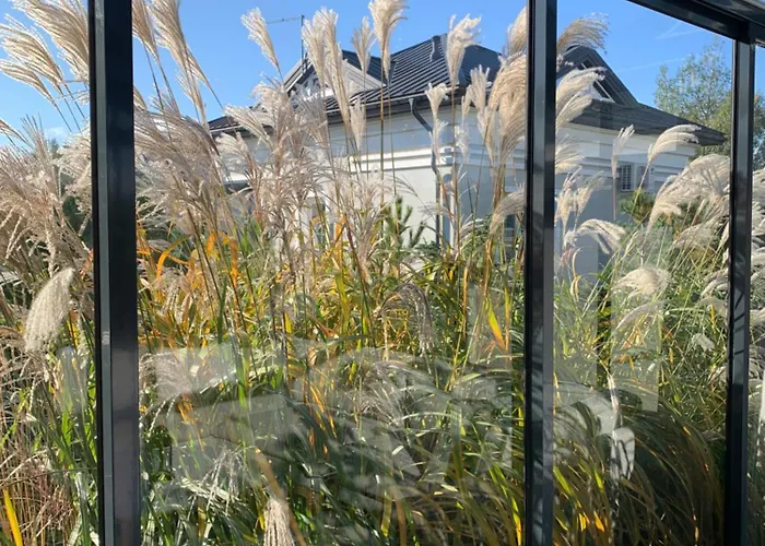 Kunigiskiu Whitehouse *