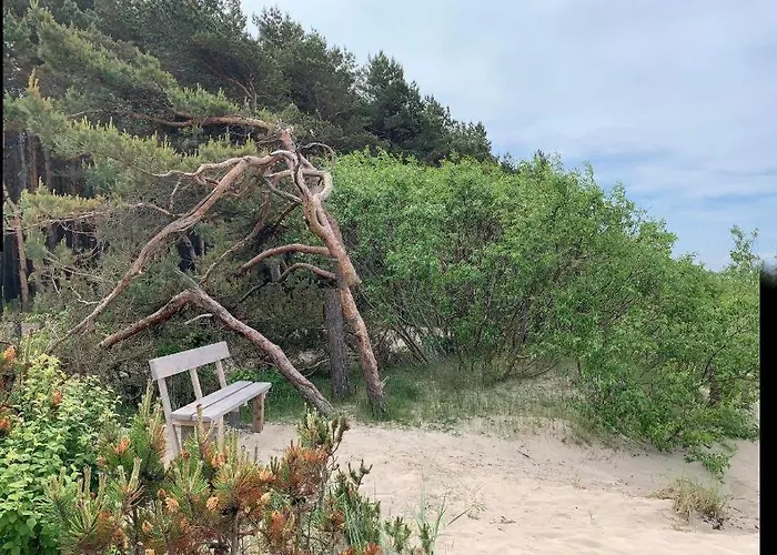 公寓 Kunigiskiu Whitehouse 帕兰加